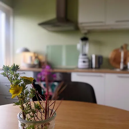 In With Free Parking And Great View, Sleep 3 People